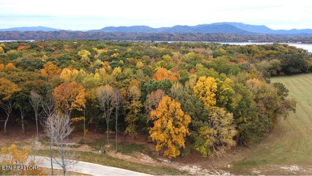 Lot #61 Sunset Blvd - Photo 1