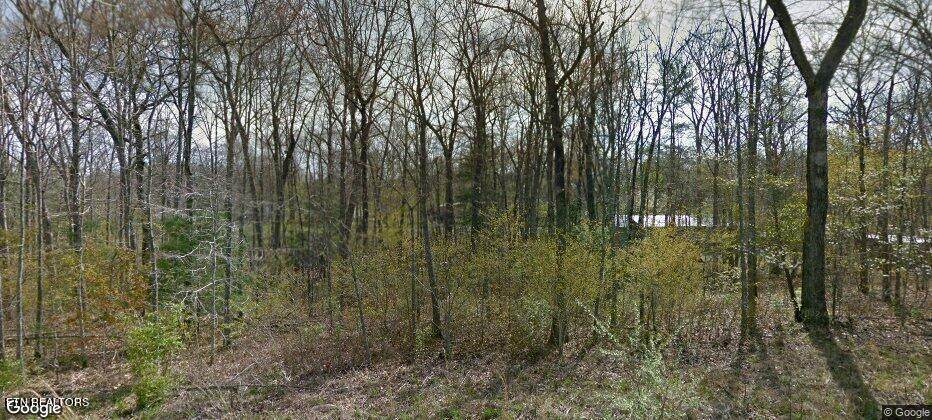 3206 Oswego Rd - Photo 1