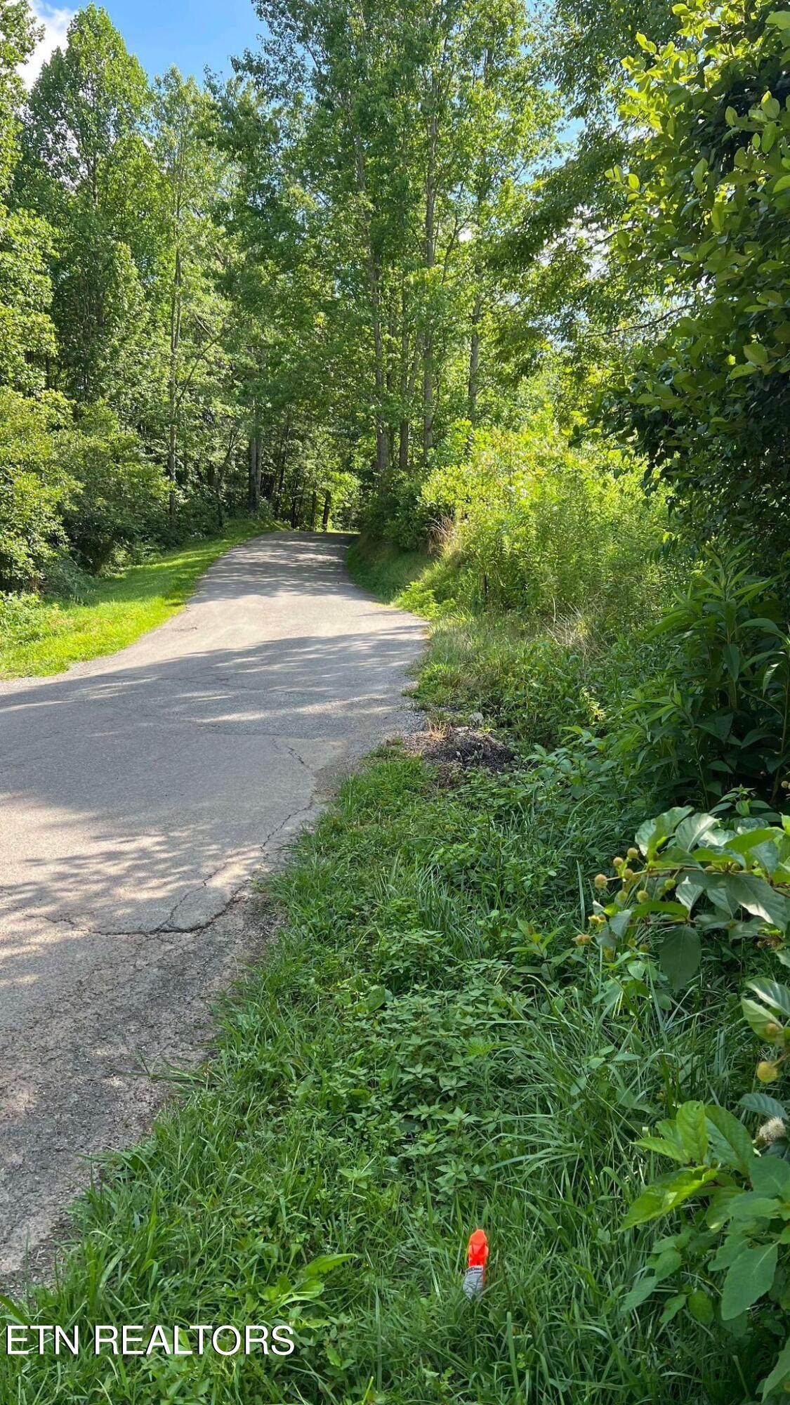 237 Smithfield Rd - Photo 1