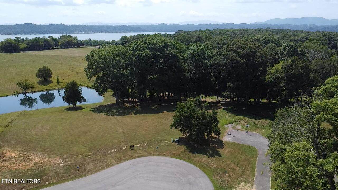 lot 6&7 Ancient Oaks Court - Photo 1