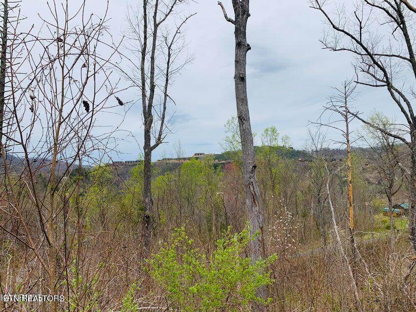 Loop Rd Rd - Photo 1