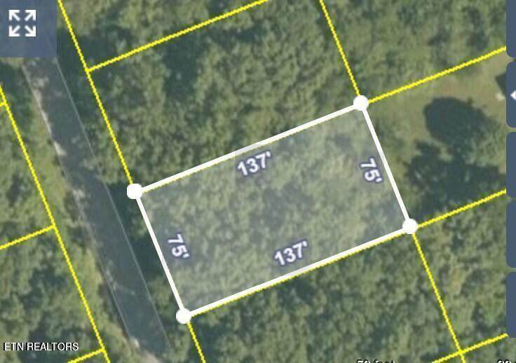 141 Ivy Brook Lane - Photo 1