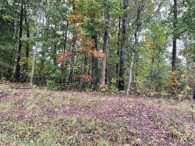 6211 Osage Rd - Photo 1