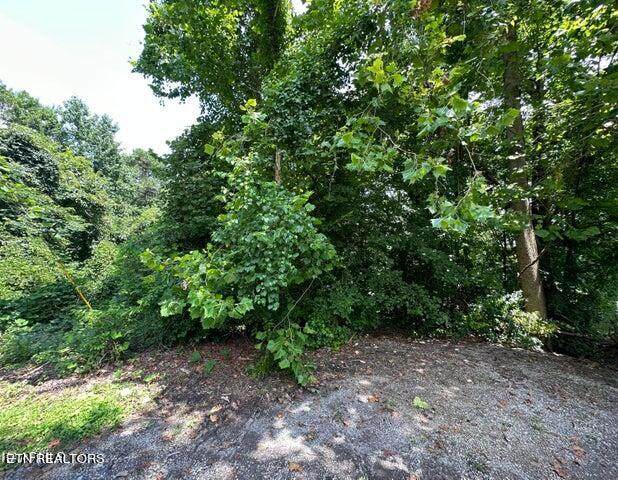 Rosemont Lane - Photo 1
