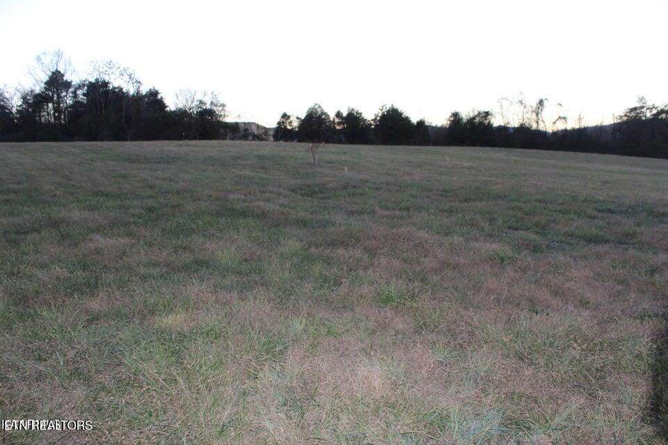 1517 Towe String Rd - Photo 1