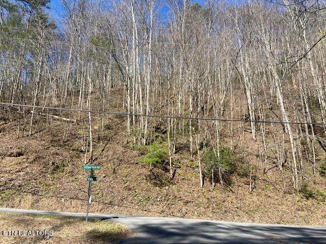 Lot 1 Clear Fork Rd - Photo 1