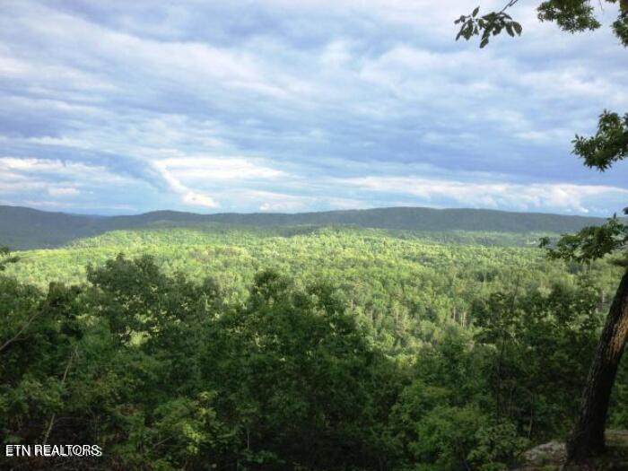 Lot 12 Green Ridge Tr - Photo 1