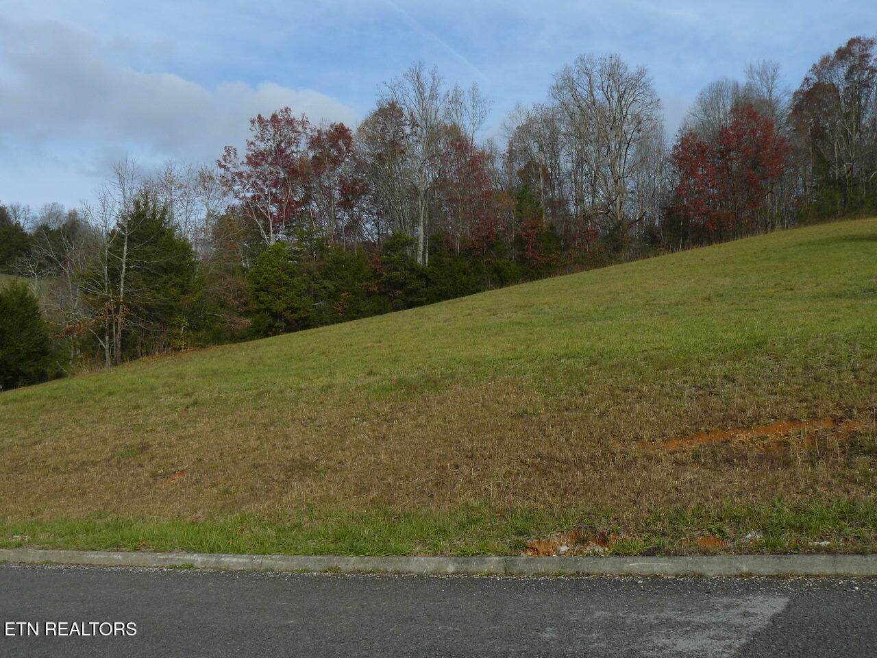 117 Henley St - Photo 1