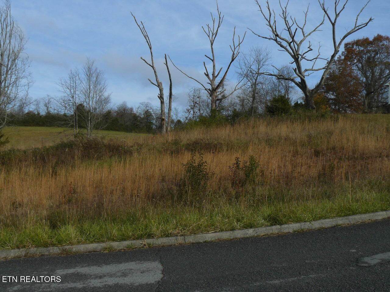 141 Henley St - Photo 1