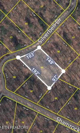 Lot 89 Silverbell Drive - Photo 1