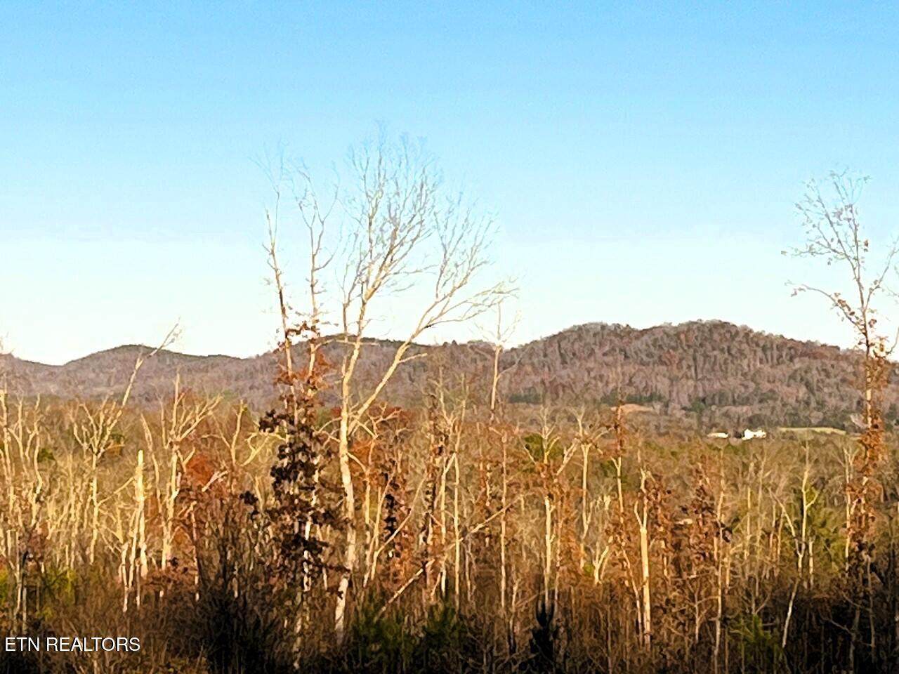 https://bt-photos.global.ssl.fastly.net/kaar/orig_boomver_1_1286803-2.jpg