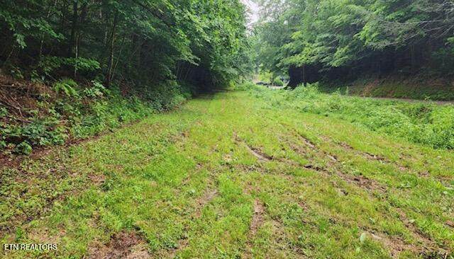 4473 Chavis Rd - Photo 1