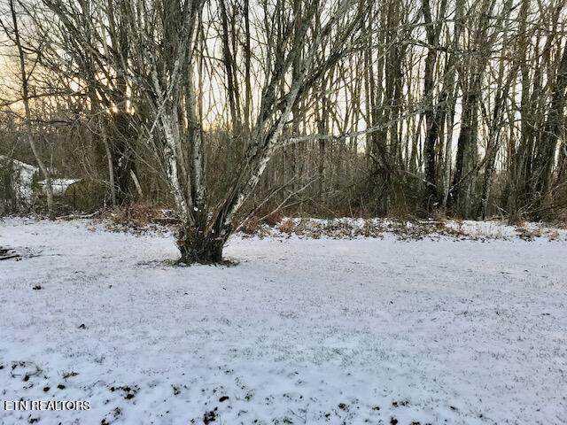 069 145.00 Letner Rd - Photo 1