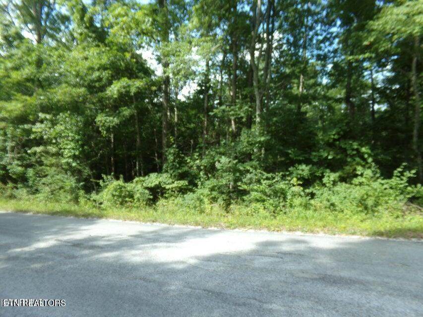 2405 White Horse Drive - Photo 1