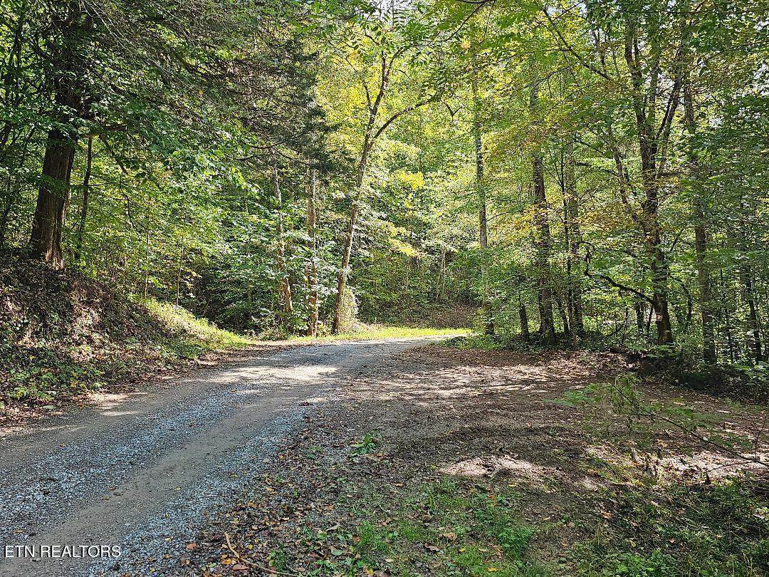 73.87ac Mill Hollow Rd - Photo 1