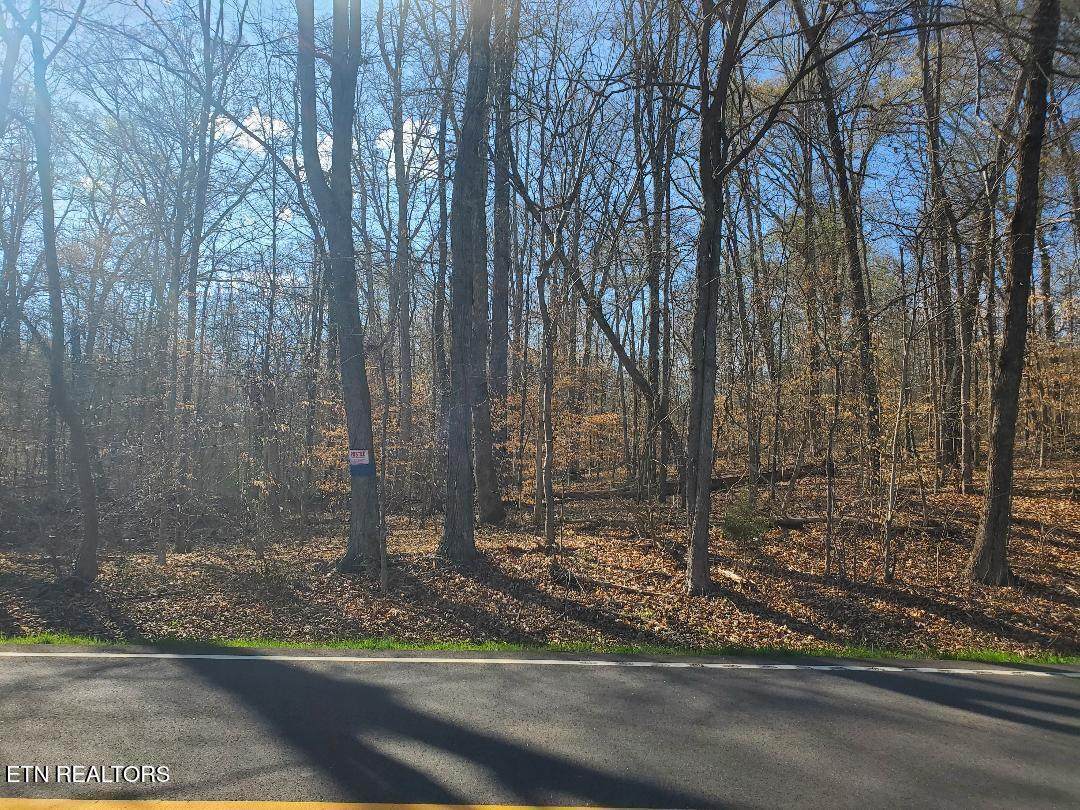 Lot 15 Highway 304 - Photo 1