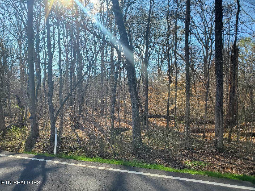 Lot 8 Highway 304 - Photo 1