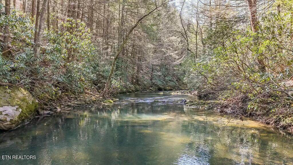 460 Twin Bridge Rd - Photo 1