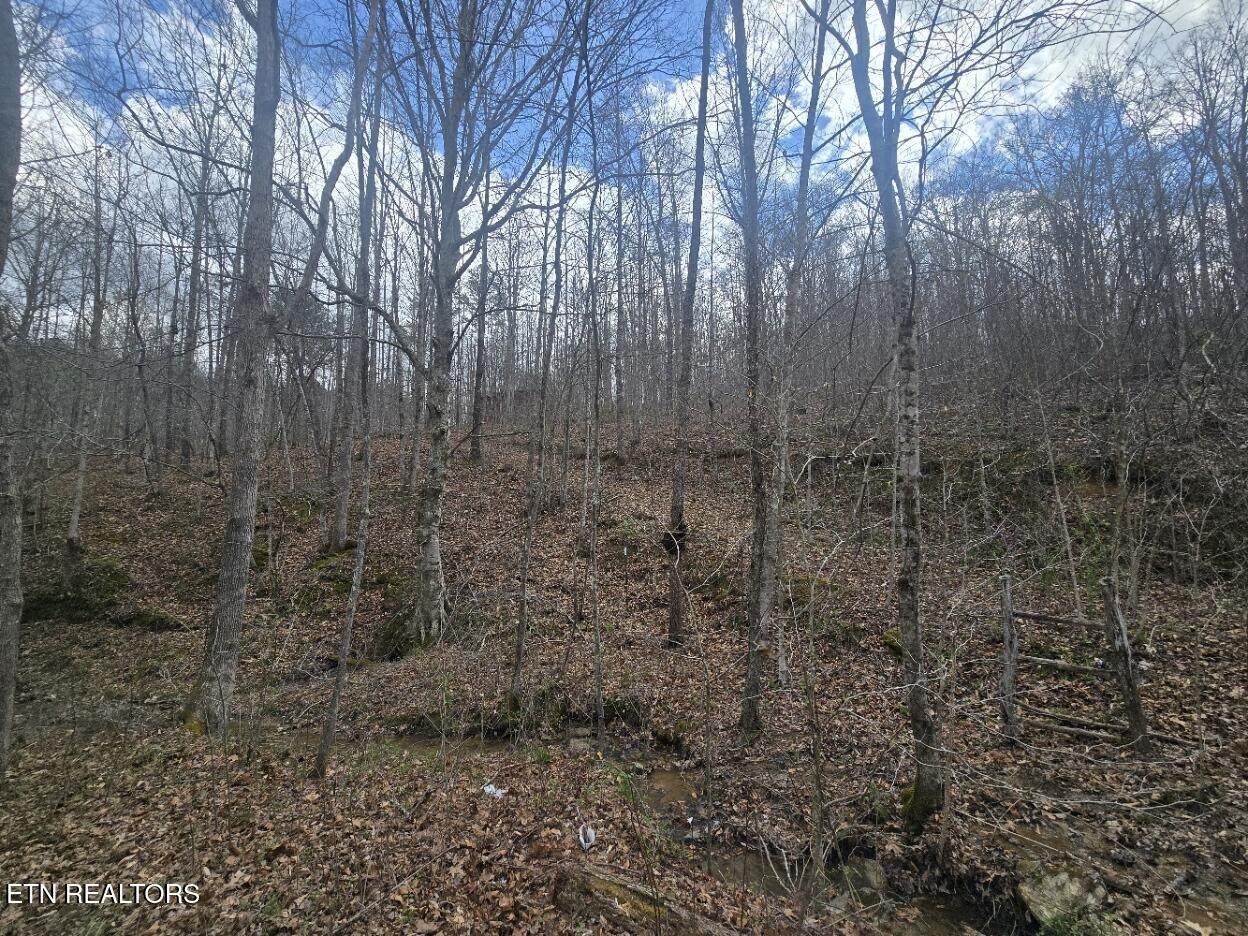 0 Straight Fork Rd - Photo 1