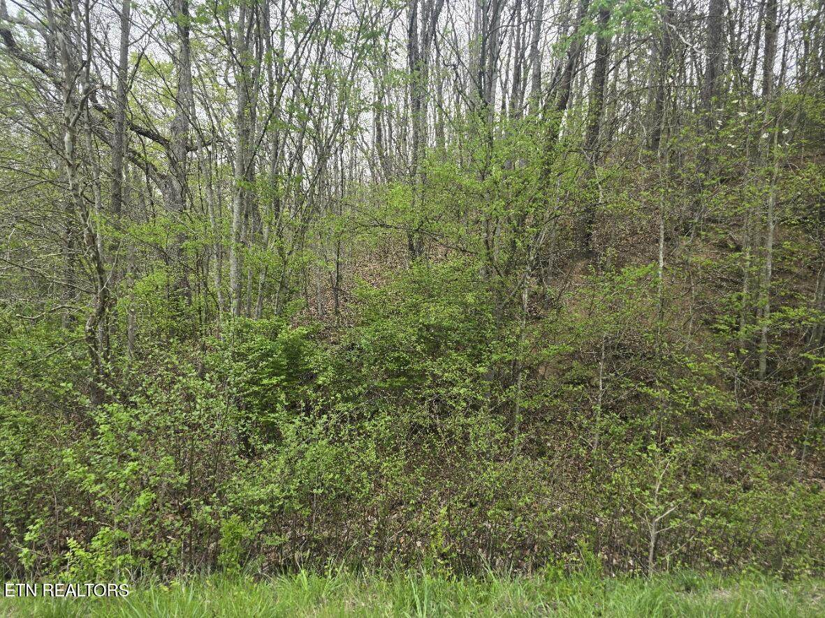 https://bt-photos.global.ssl.fastly.net/kaar/orig_boomver_1_1298125-2.jpg