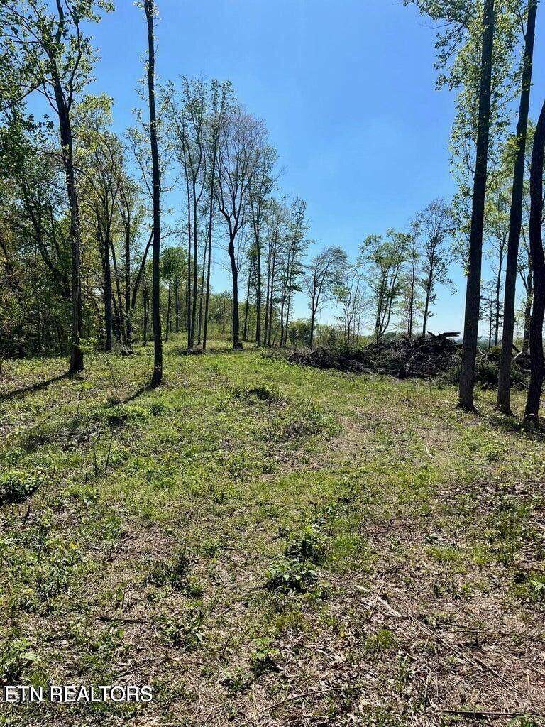 Tract 2 Mill Creek Rd - Photo 1