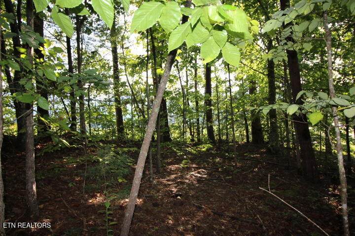 523 Rudd Hollow Rd - Photo 1