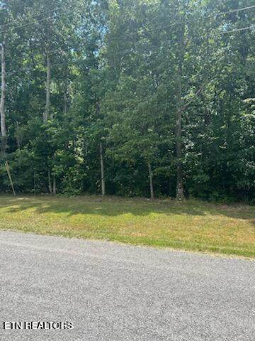 8066 Delaware Dr. Drive - Photo 1