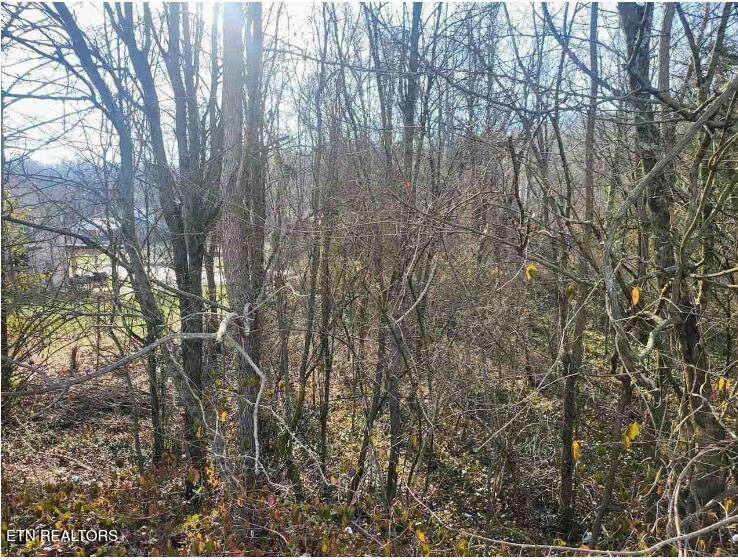 5208 Asheville Hwy - Photo 1