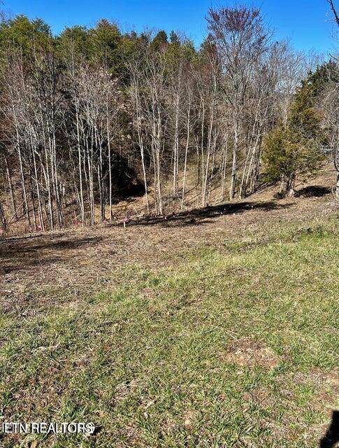Lot 1 A 2009 Scott Street - Photo 1