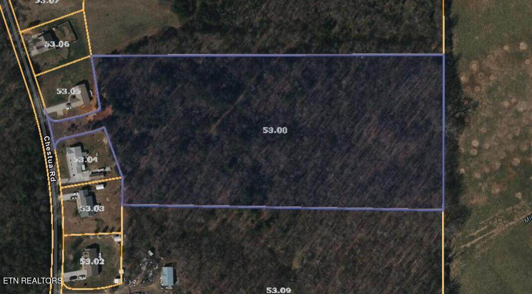 317 Chestua Rd - Photo 1
