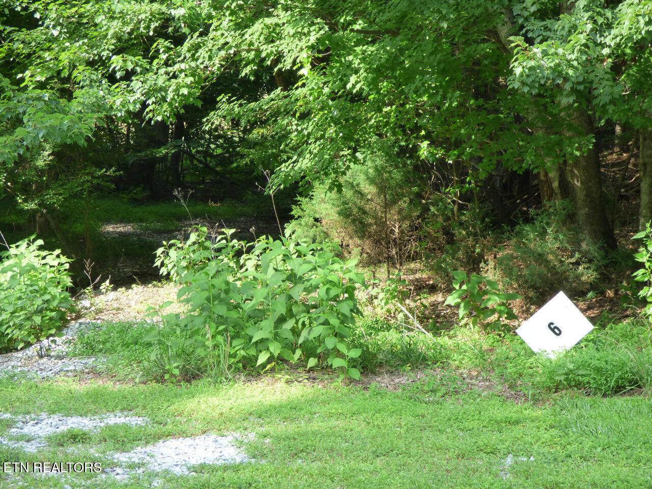 Lot 6 Cove Springs Drive - Photo 1