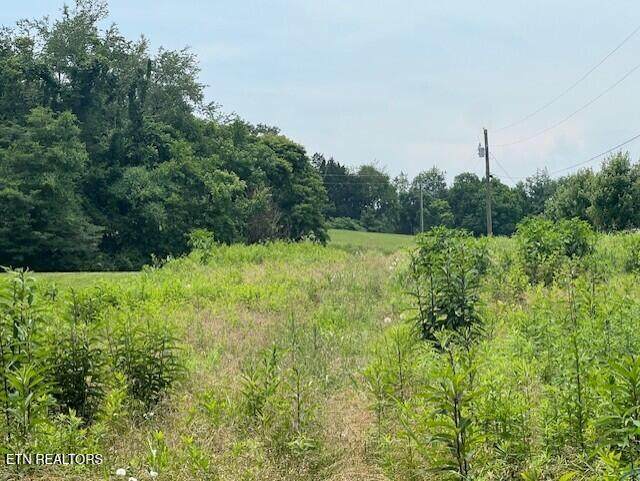 Lot 14R2 Pleasant View Cemetery Rd - Photo 1