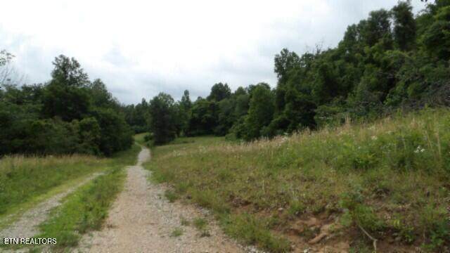 51.30ac Livingston Hwy - Photo 1