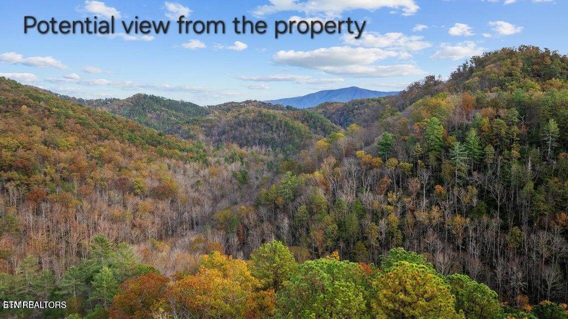 4416 Whetstone Rd - Photo 1