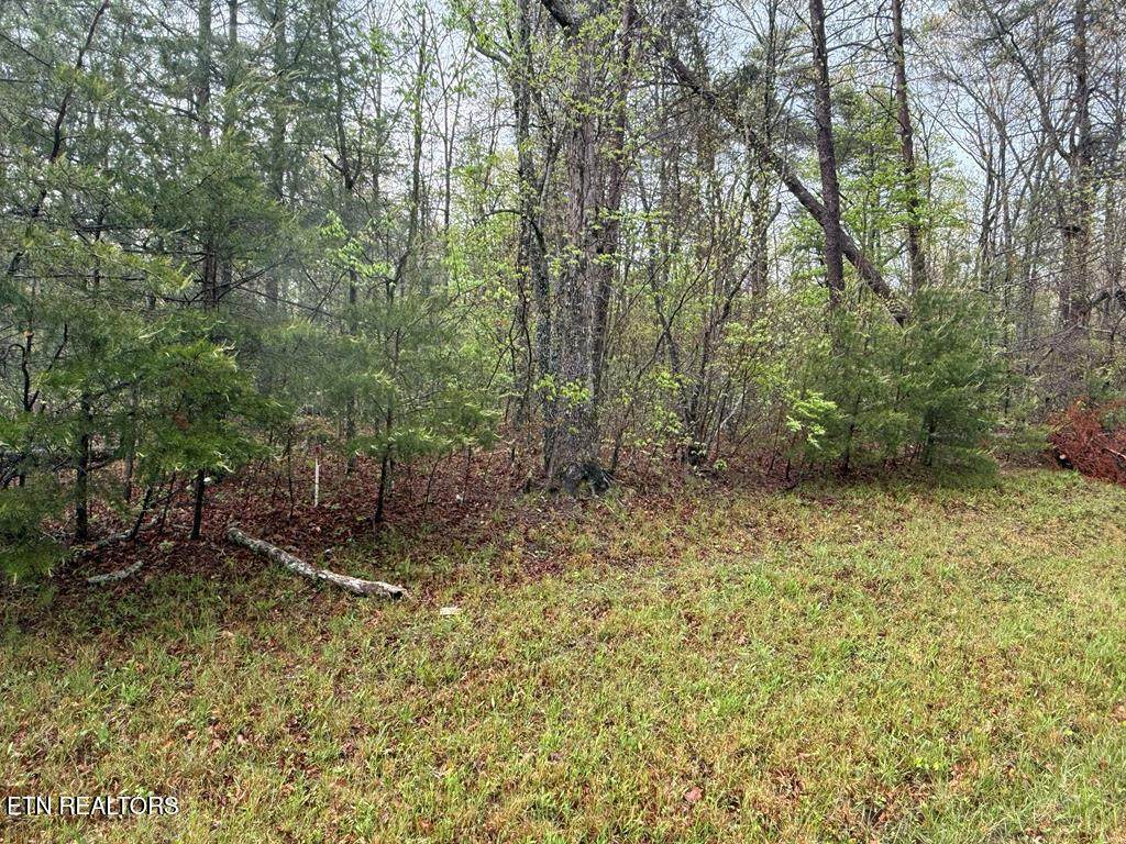 0 Mountain Ash Drive - Photo 1