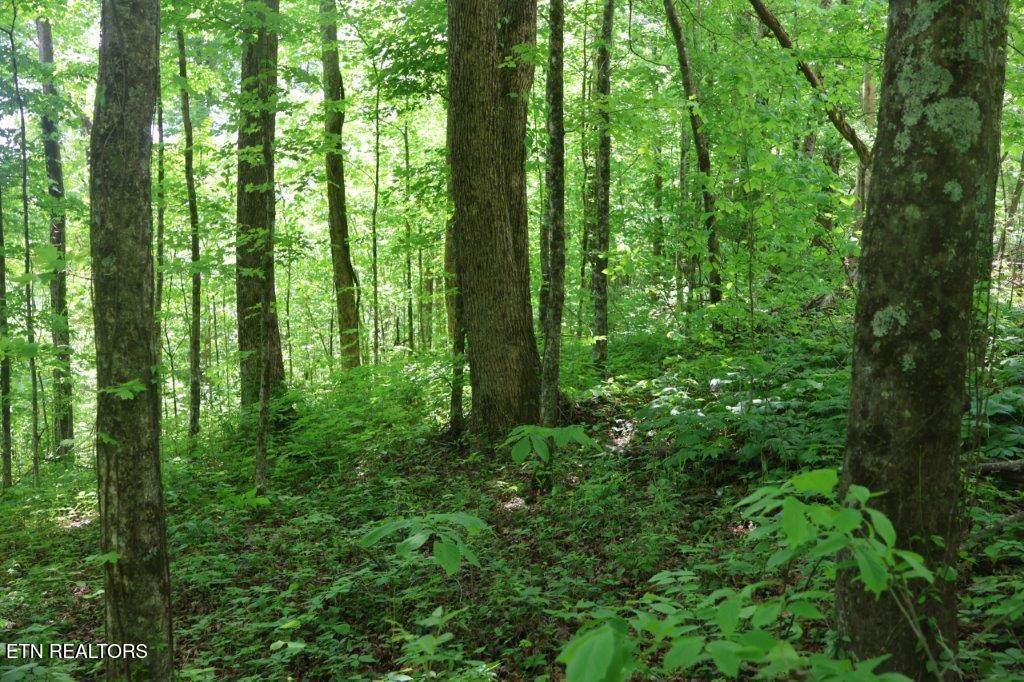  Crab Mountain Rd - Photo 1