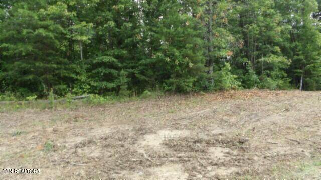 Lot 222 Hilltop Lane - Photo 1