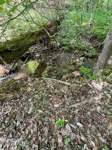  Reagan Springs Rd - Photo 1