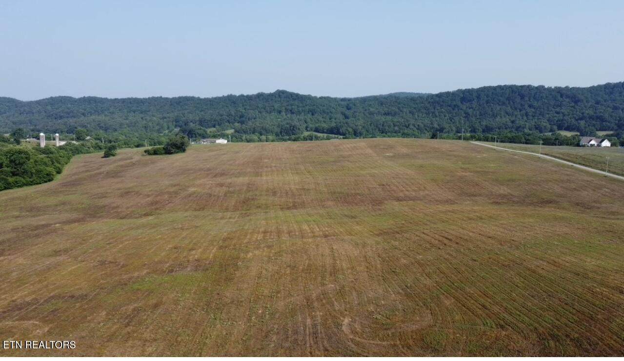  Alfred Mccammon Rd Tract 3 - Photo 1