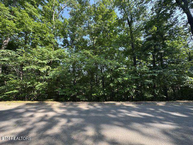 2432 Hawks Nest Way - Photo 1