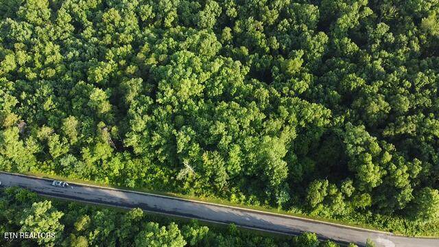 Lot 5 Woodland Creek Drive - Photo 1