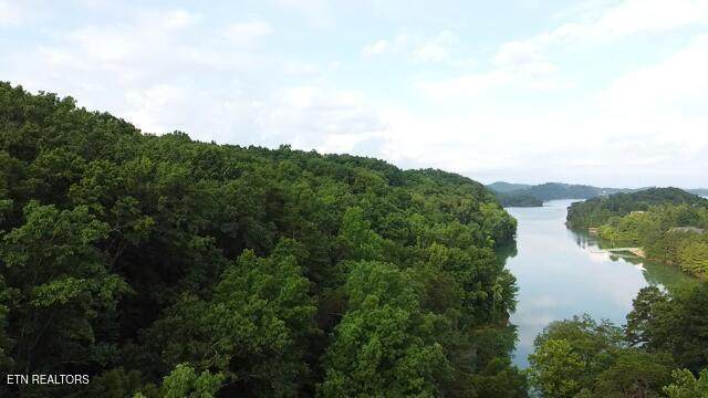 Lot 13 Woodland Creek Drive - Photo 1