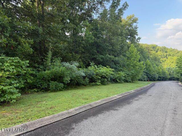 Lot 15 Woodland Creek Drive - Photo 1