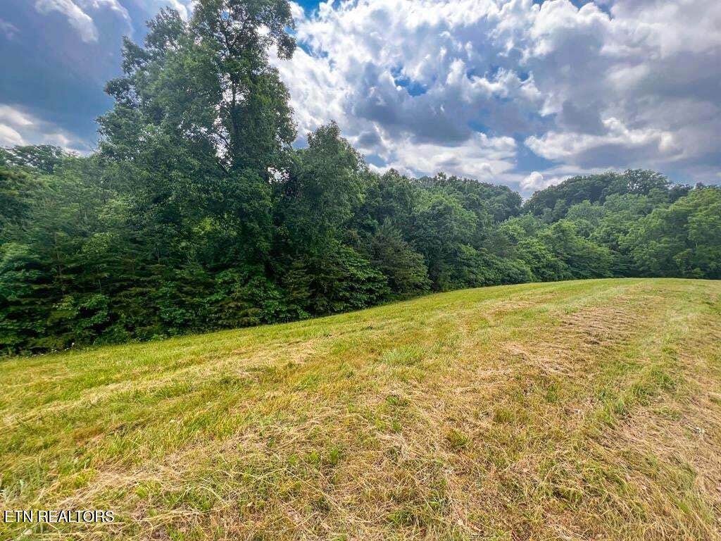 2004 Turners Landing Rd - Photo 1