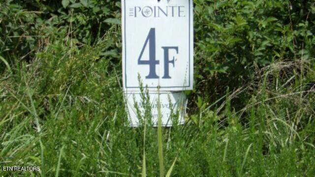 Lot 4F Trout Lane - Photo 1