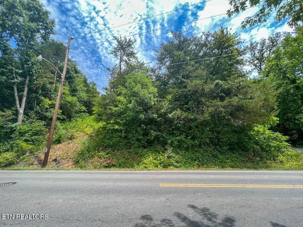  Lots 1, 2, 3 And 21 Ridge Rd - Photo 1