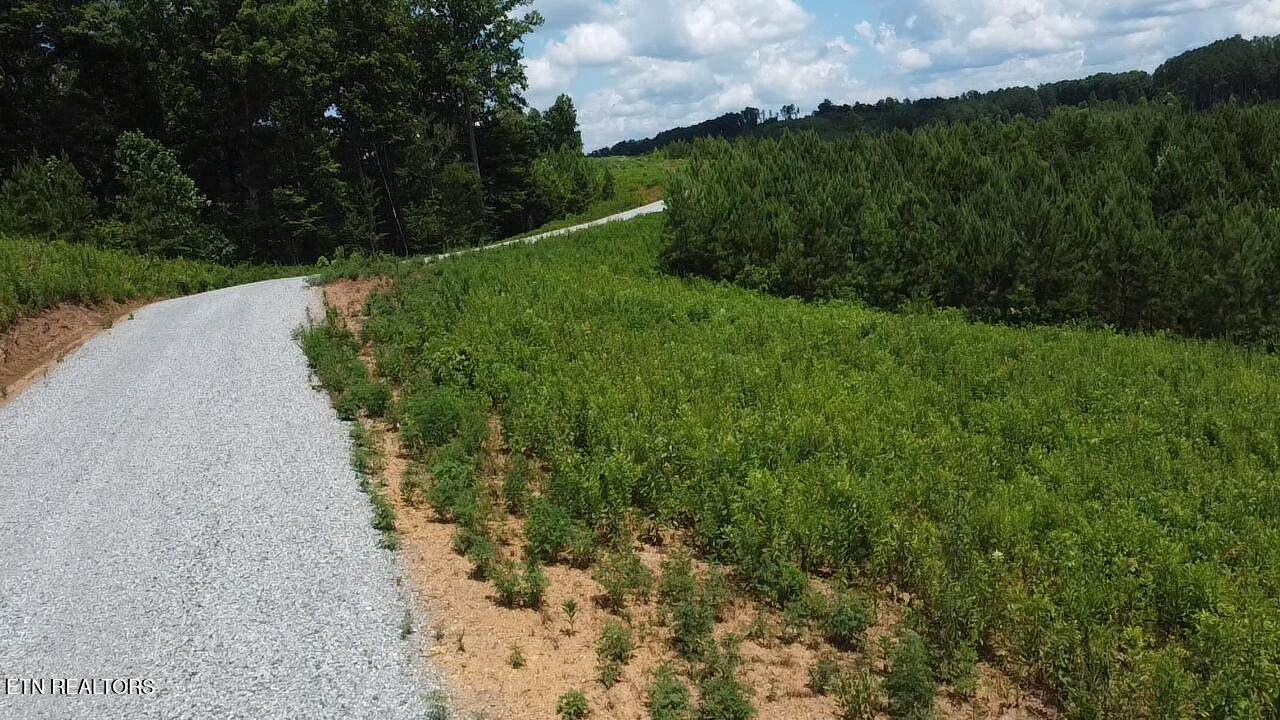  Lot 86 Three Point Rd - Photo 1