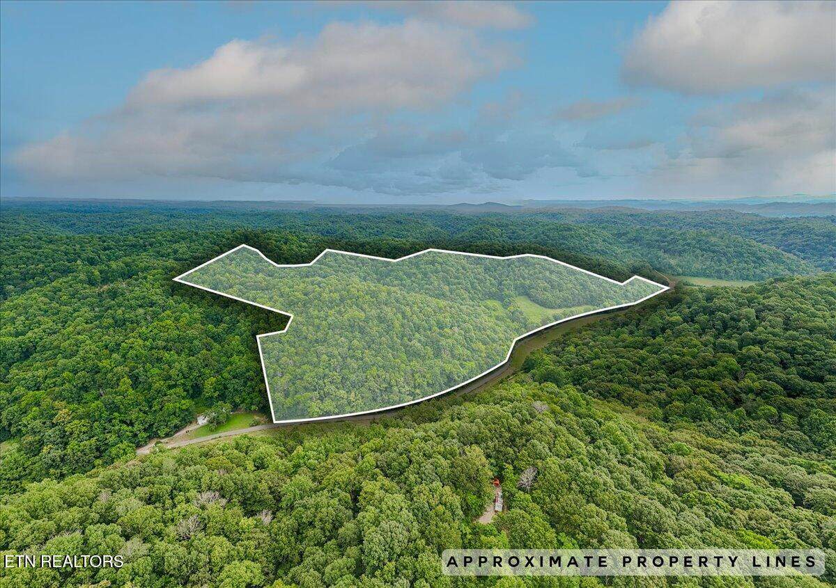  Knob Creek Rd - Photo 1