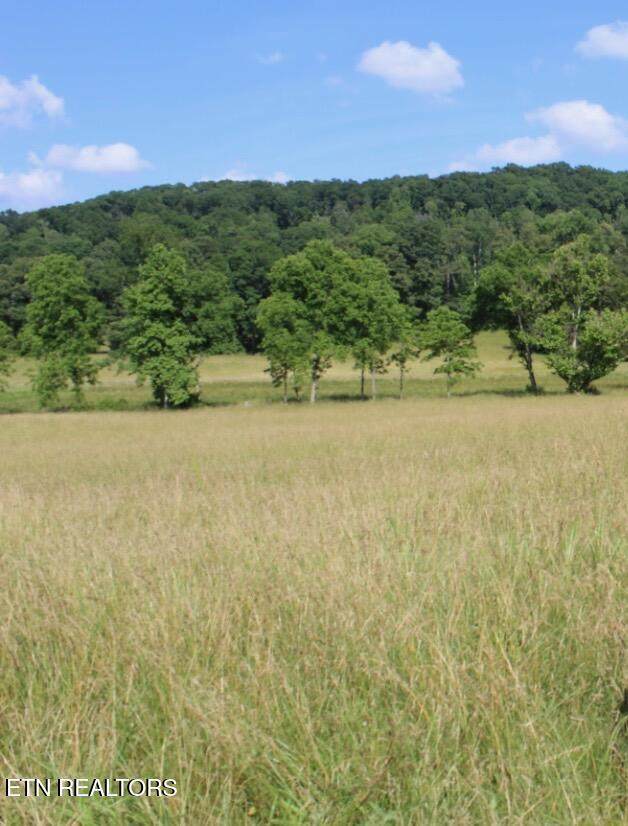 1361 Paint Rock Valley Rd - Photo 1