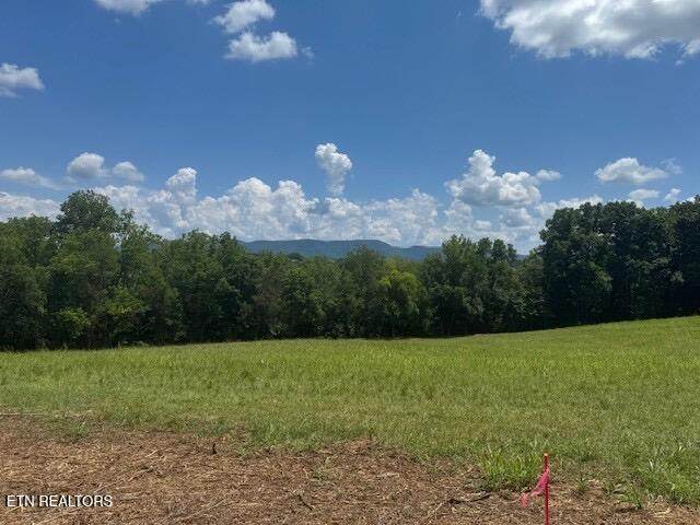 3504 Davis Ford Rd - Photo 1